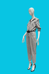 Obraz premium Full length female mannequin.