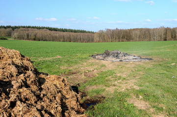 Brulage sauvage et illicite de baches plastiques agricoles