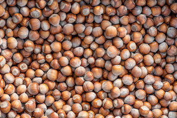 Many hazelnuts photographed closely at the market