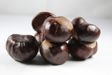 chestnuts isolated on white background