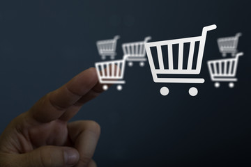 Shopping cart as part of the network in hand . The concept of Innovation in e-Commerce.
