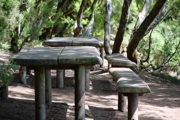 Tables, benches, places to relax in forest