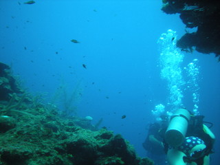 Scuba Diver on a Wall Dive