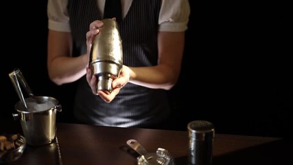 Bartender using cocktail shaker