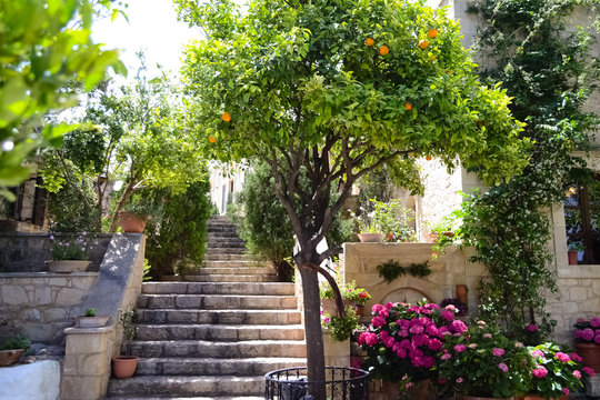 Garden in monastery of Saint Gedeon. Village Margarites, Crete. Greece.