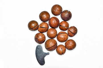 Whole unshelled macadamia nuts and metal key for opening nutshell on white background. Nutritious, tasty and healthy snack. Macadamia is the most expensive nut in the world with hardest shell. Top vie