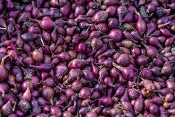 Small onions spring onions, sprouts.