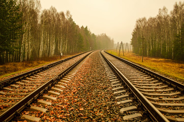 railway rails and sleepers along the forest