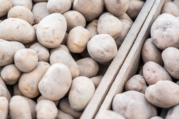 Potatoes at the market by day