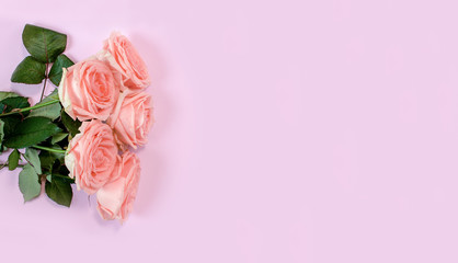 Flat lay of five beautiful roses on pink background