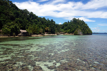 island in togian islands in Indonesia