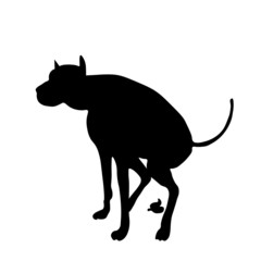 A dog, a big dog, a dog that poop