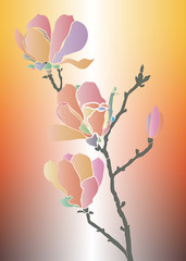 magnolia, magnolia flowers, tree, magnolia tree, spring, branch