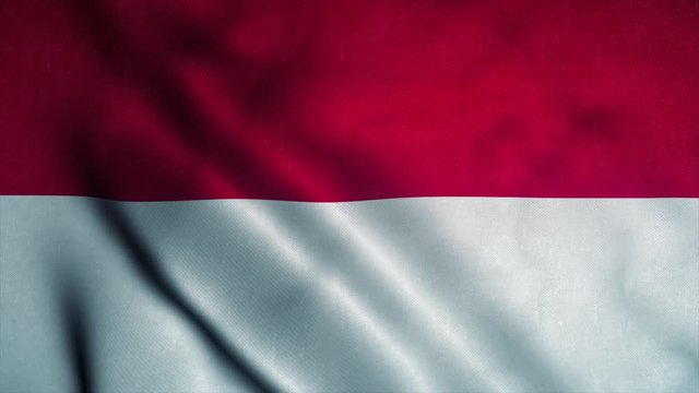 Monaco flag waving in the wind. National flag of Monaco. Sign of Monaco seamless loop animation. 4K
