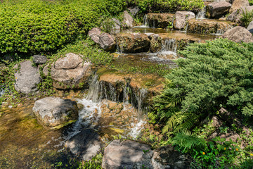 Water flows over rocks Serene creek with gentle cascade