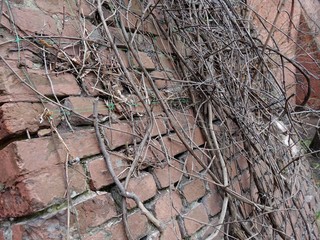 a fragment of a worn old brick wall as a background