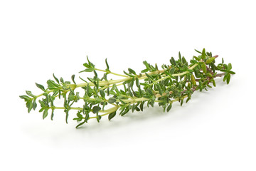 Fresh thyme sprigs, spice, isolated on white background