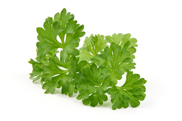 Fresh organic parsley, isolated on white background