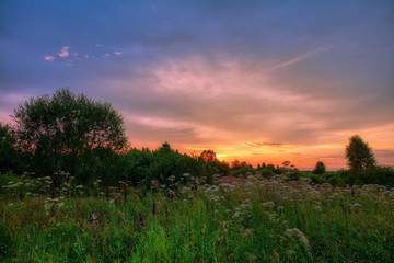 Sunset in summer field