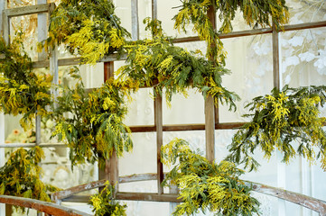 Floral decor. Screen made of wooden frames decorated with Mimosa.