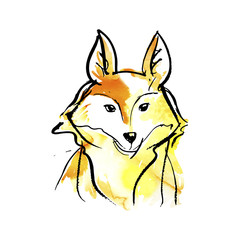 Watercolor illustration of a fox.