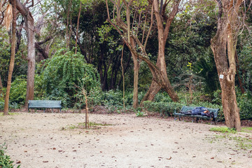 The National Garden is a public park in Athens city