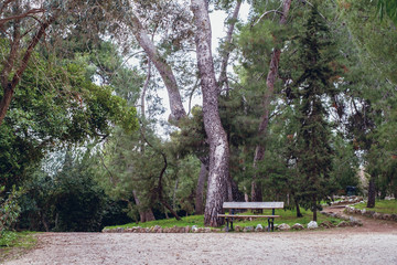 The National Garden is a public park in Athens city