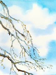 Watercolor landscape. Old bare tree