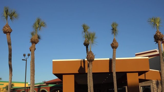 Palm Trees In Front Of Mexican Mexico Building With Clear Blue Sky