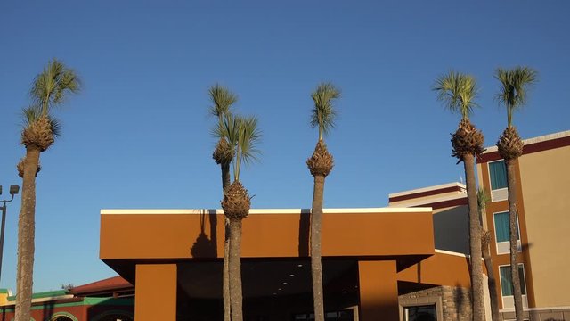 Left To Right Pan Palm Trees In Front Of Mexican Mexico Building With Clear Blue Sky