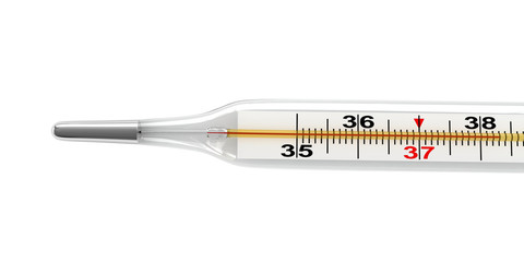 Medical thermometer