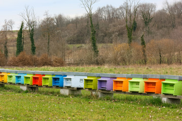 Row of Colorful Beehives