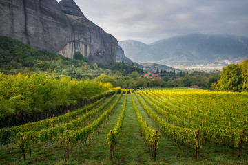 Fototapeta na wymiar Panorama view of Kalambaka with beautiful vineyards.