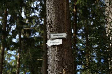 Hiking trails in the Black Forest, translation - Panoramaweg, Baarblickweg