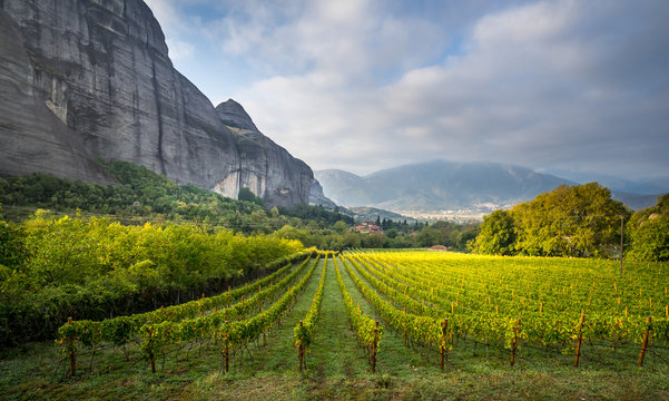 Panorama view of Kalambaka with beautiful vineyards.