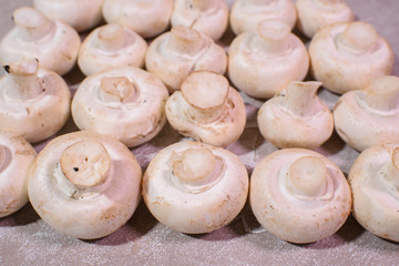 Fresh champignons. Healthy and tasty food.
