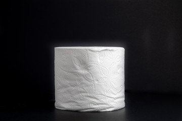 Toilet paper 2-ply isolated on a studio background 