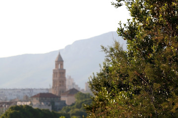 Fototapeta na wymiar Lush trees and Saint Domnius bell tower, landmark in Split, Croatia, in the background. Selective focus.
