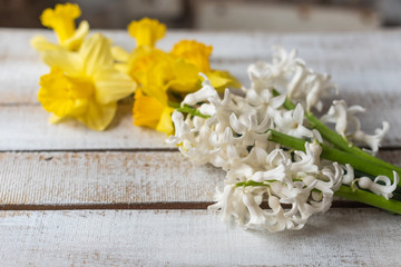 yellow daffodils and white hyacinths flowers on a white wooden background in springtime