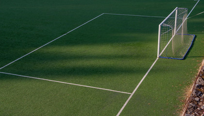 Obraz na płótnie Canvas Synthetic soccer field