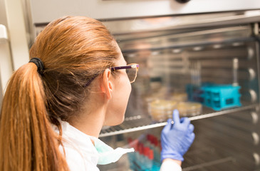 Biologists taking out samples from incubator