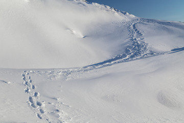 Single line of footprints winding up a pristine, snowy hill © Alira Vale