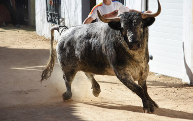 salida de toro a cajón