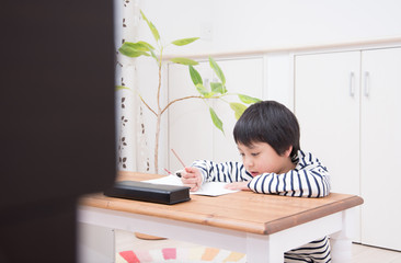 勉強をする小学生の男の子