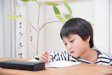 勉強をする小学生の男の子