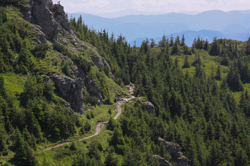 Fototapeta na wymiar Ceahlau Massif mountain path in Romania