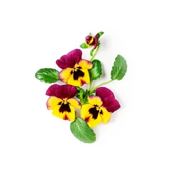 Stoff pro Meter Spring viola pansy flowers composition © ifiStudio