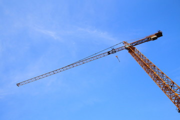  Crane on a background of blue sky © moniadk