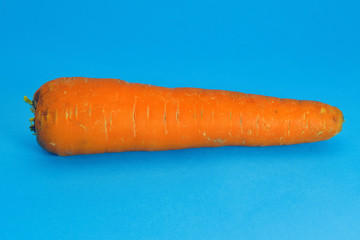 Fresh orange carrot close-up isolate on a blue background.
