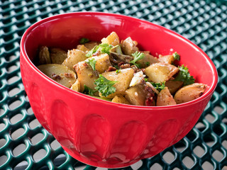 Mustard Based Potato Salad in Bright Red Bowl on Picnic Table